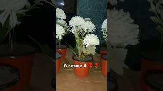 Plastic carnations for coming this undasshortvideo flowers carnation undas [upl. by Anatsirhc]