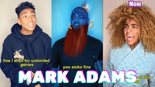 1 Hour Mark Adams Funny Videos  Best of Mark Adams 2024  Shorts Comps [upl. by Isayg]