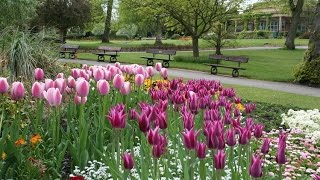 Top 15 Tourist Attractions in Harrogate  Travel England United Kingdom [upl. by Rattan]