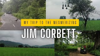 A day in the Jim Corbett National Park [upl. by Oiluarb997]