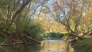 Hiddenite Family Campground Garnet and Smokey Quartz Adventure [upl. by Cowey]