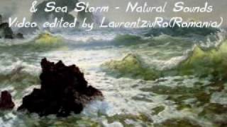 Seascape Paintings NATURE SOUNDSSEA STORM amp MOZART REQUIEM [upl. by Aerdnak]