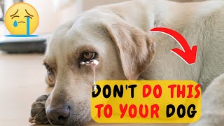 16 ATROCITIES THAT HURT YOUR DOG EMOTIONALLY [upl. by Vasyuta105]