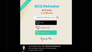 ECG Refresher 1 [upl. by Eiraminot]