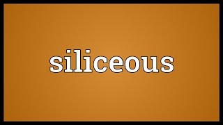 Siliceous Meaning [upl. by Eelyam]