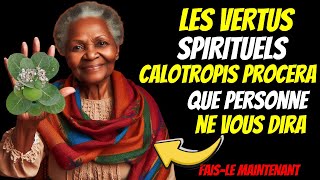 L UNE DES RARES PLANTES DOTÉS DES VERTUS SPIRITUELS ET PHARMACEUTIQUES INCROYABLE ❗ [upl. by Xaviera]