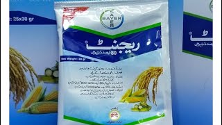 Best termite and borers controller  Regent Bayer  Fipronil insecticide Usages  Kissan Ghar [upl. by Darnoc]