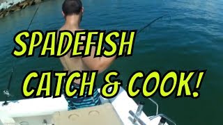 Spadefish Catch N Cook 2018 [upl. by Thomasine]