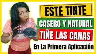 COMO MATIZAR Las CANAS Con TINTE NEGRO CASERO  Como Cubrir las Canas en la Primera Aplicación [upl. by Enirok]