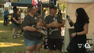 Skunk enthusiasts gather in North Ridgeville to celebrate their favorite little stinkers [upl. by Odelinda]