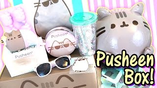 Pusheen Cat Box Summer 2016  Kawaii Subscription Box Unboxing  So much Official Merch Cuteness [upl. by Evatsug]