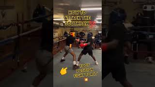 Boxing basics learnin with the camera rolling is definitely going to make u go hard these days 🤷🤦😵‍💫 [upl. by Reiche]