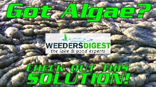 Removing Lake Algae and Pond Algae [upl. by Atterahs]