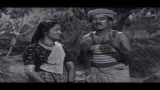 Malayalam Movie Song  Thanthoya Thenundu  Padatha Painkili  Malayalam Film Song [upl. by Arednaxela]