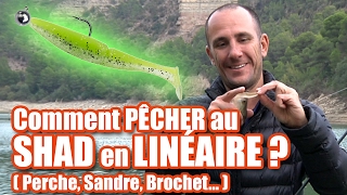 Comment pêcher au SHAD en LINEAIRE  perche sandre brochet [upl. by Swain]