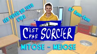 Les tutos du Tuto Méiose et mitose [upl. by Aknaib559]