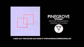 Pinegrove  quotAphasiaquot Official Audio [upl. by Elohcan]