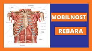 VJEŽBA ZA MOBILNOST PRSNOG KOŠA [upl. by Anirhtak201]