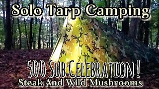 Solo Tarp Camping 500 Sub Celebration  Gourmet Camp Cooking [upl. by Dexter]