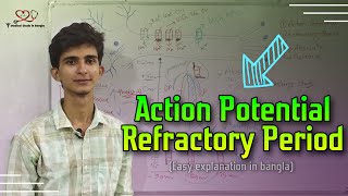 Action Potential in neuron  Refractory Period in bangla [upl. by Areem]