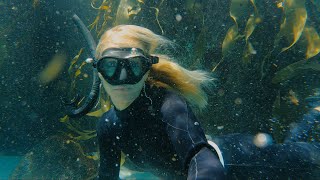 Exploring TASMANIA  Freediving Kelp Forests Giant Trees and Mountain Biking [upl. by Saref]