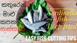 Sri Lanka traditional Sardinella fish Deep fried recipe  salaya මාළු කතුරෙන් කපමු [upl. by Kone386]