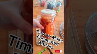 Time to make Fermented Carrots shorts food [upl. by Aretahs465]