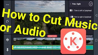 How to Cut Audio in kinemaster [upl. by Warfeld]