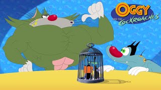 Oggy and the Cockroaches  Jack to the rescue SEASON 7 BEST CARTOON COLLECTION  Episodes in HD [upl. by Love245]