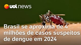 Dengue Brasil se aproxima de 4 milhões de casos suspeitos em 2024 MG é o estado mais suspeitas [upl. by Hauser728]