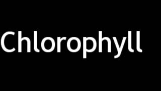 How to Pronounce Chlorophyll [upl. by Hayyifas]