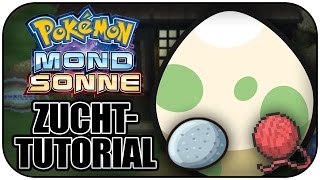 ZUCHTGUIDE ALLE TIPPS UND TRICKS  Pokémon Ultrasonne und Ultramond Tutorial [upl. by Nnaeirb158]