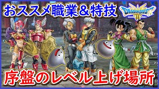 DQ3 HD2D版 これでOK！序盤のレベル上げ解説！おススメパーティ紹介と優秀な特技紹介！序盤の流れも紹介！ドラクエ3リメイク 攻略【メイルス】 [upl. by Dier]