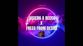 GALA SFERA EBBASTA  VISIERA A BECCO X FREED FROM DESIRE🤯🔥 MASHUP BY DARIO LUV [upl. by Romie]