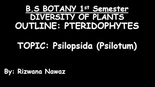 Psilopsida Psilotum by Rizwana Nawaz [upl. by Finkelstein760]