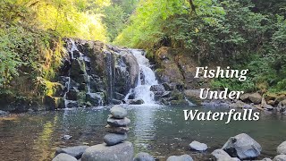 Fishing Under Oregon Waterfalls for Cutthroat and Rainbow Trout [upl. by Einamrej]