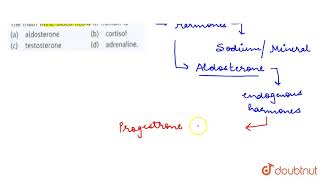 The main mineralocorticoid in human is [upl. by Klatt244]