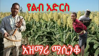 Ethiopia áŠ á‹áˆ›áˆª áˆ›áˆ²áŠ•á‰† áŠ á‹áˆ›áˆª á‹˜áˆáŠ• áŠ¥áŠ“ áˆ›áˆ²áŠ•á‰† á‹˜áˆáŠ• Azmari Song Ethiopian amp Masinko Ethiopian Music Part 145 [upl. by Siroled]