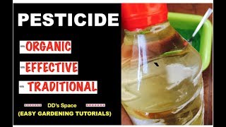 HOW to make Organic PESTICIDE at home POWERFUL MULTIPURPOSE EASY [upl. by Zoha]