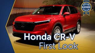 2023 Honda CRV  First Look [upl. by Olzsal276]