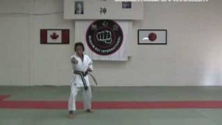 MushinKai International  Shiho Zuki Kata Shitoryu Karate [upl. by Orland]