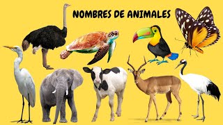 NOMBRES DE ANIMALES  VIDEOS DE ANIMALES EN ESPAÑOL  ANIMALES DEL BOSQUE  ANIMALES DE LA GRANJA [upl. by Abbottson664]