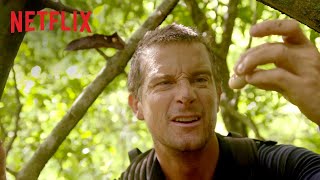 Du gegen die Wildnis  Interaktive Serie  Offizieller Trailer  Netflix [upl. by Cohe]