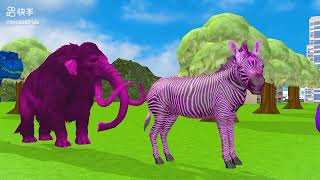 cartoon for kids animals [upl. by Anilev]