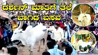 Darshan Makes An Angry OX Cool  Darshan Speaks to Angry OX  Darshan in Mandya [upl. by Whitelaw330]