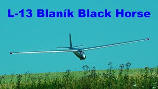 L13 Blanik Black Horse Model  scale RC glider  4K  Syrovice 2021 [upl. by Eirot]