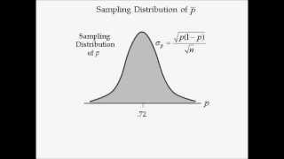 Business Statistics lecture 7  Sampling Distribution [upl. by Merrili]