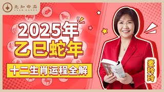 麦玲玲师傅详解2025蛇年运程：十二生肖完整版！事业运、财运、人际关系、爱情、婚姻、健康全解析！ [upl. by Thagard672]