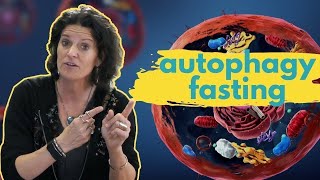 AUTOPHAGY FASTING  How Long Should You Fast to Maximize Your Health Benefits [upl. by Eidda985]