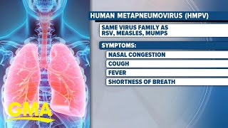 What to know about human metapneumovirus l GMA [upl. by Nosreme]